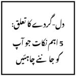 دل-گردے کا تعلق: 5 اہم نکات جو آپ کو جاننے چاہئیں