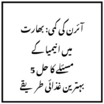 آئرن کی کمی: بھارت میں انیمیا کے مسئلے کا حل 5 بہترین غذائی طریقے