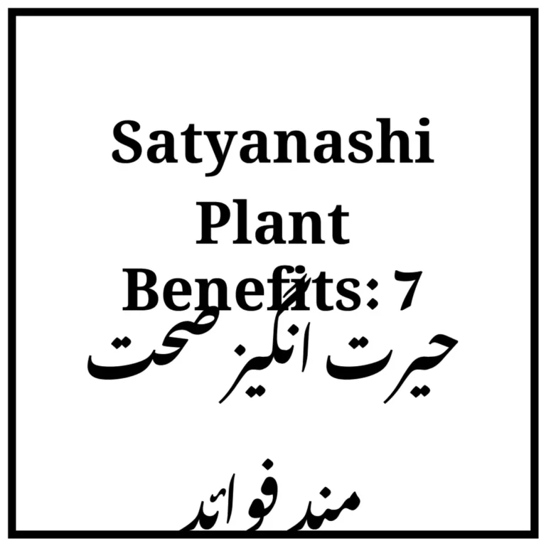 Satyanashi Plant Benefits: 7 حیرت انگیز صحت مند فوائد