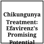 Chikungunya Treatment: Efavirenz's Promising Potential