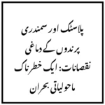 پلاسٹک اور سمندری پرندوں کے دماغی نقصانات: ایک خطرناک ماحولیاتی بحران