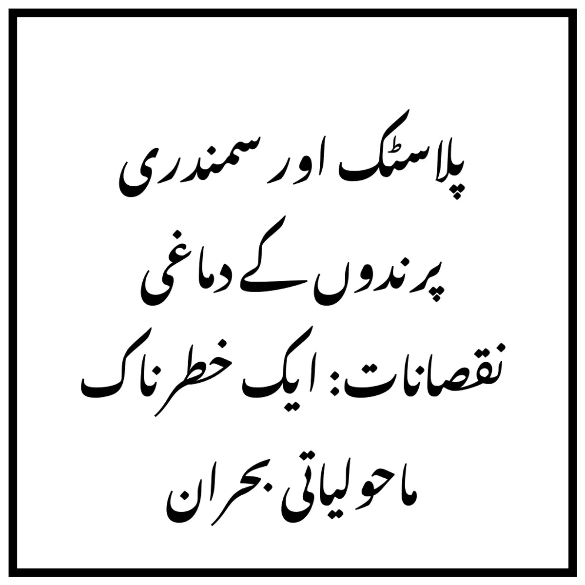 پلاسٹک اور سمندری پرندوں کے دماغی نقصانات: ایک خطرناک ماحولیاتی بحران