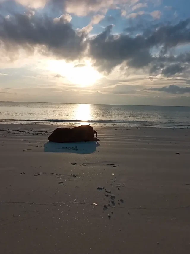 امتحانات کے دوران توجہ بڑھانے کی حکمت عملیاں